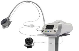 RG1000i Veterinary Laser
