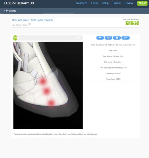 Laser-Therapy.us Horse Treatment